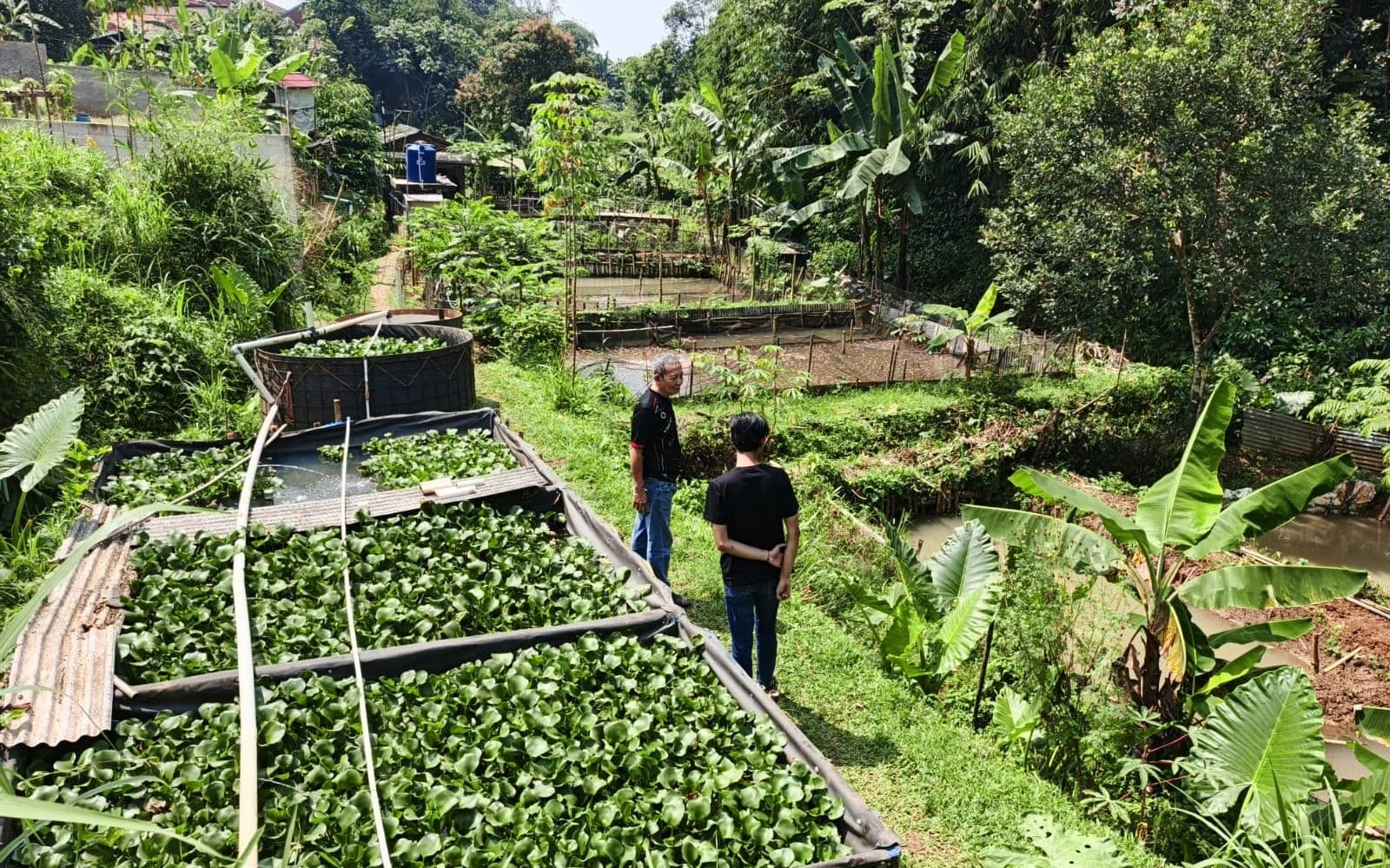 Farm Mekarwangi, Kota Bogor