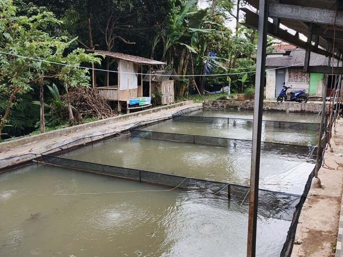 Lokasi farm Amerta Fishery