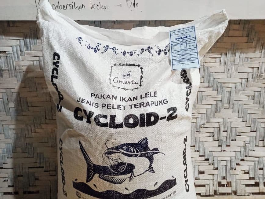 CYCLOID dari Amerta Fishery