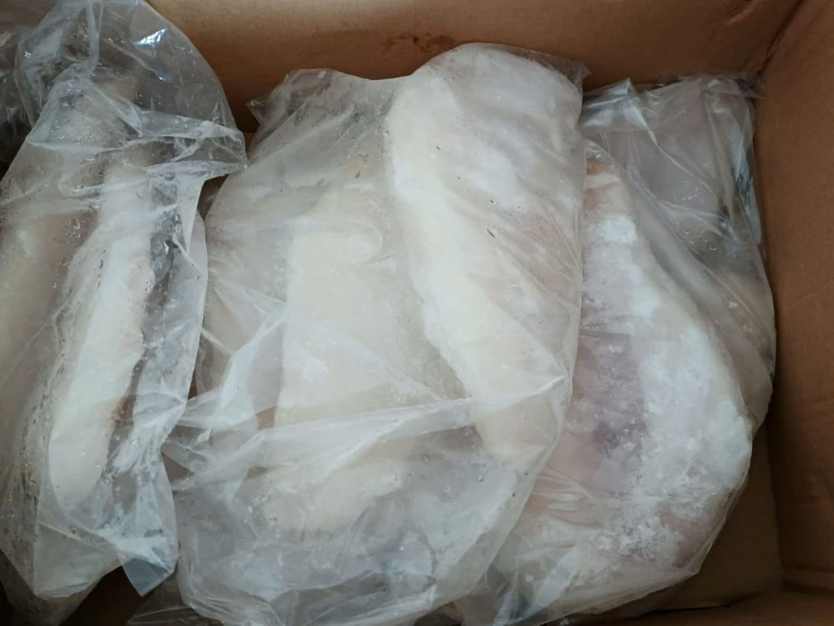 Fillet Patin dari Amerta Fishery